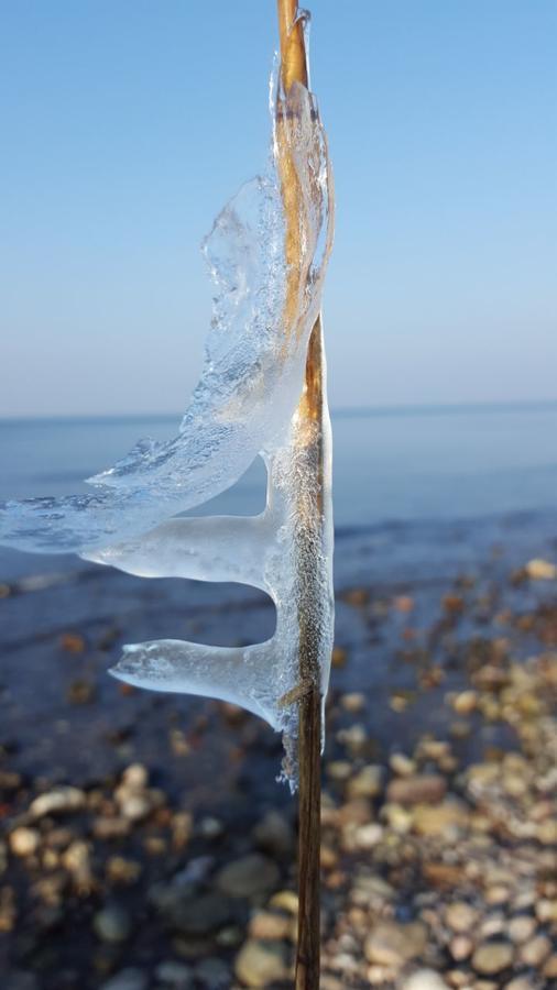 Hotel Alt Wittower Krug Wiek auf Rügen المظهر الخارجي الصورة